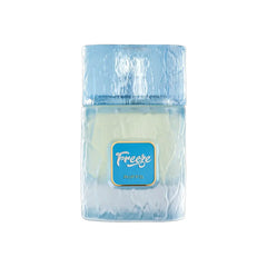 Riffs Freeze perfume for men 100ml EDP | Scent Elixir